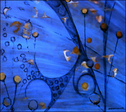 painting: "Columbia"